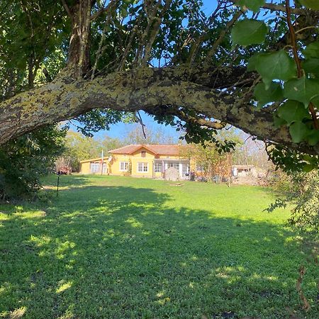 Ferienhaus Primorska Sunshine In Strandnaehe 沙布拉 外观 照片