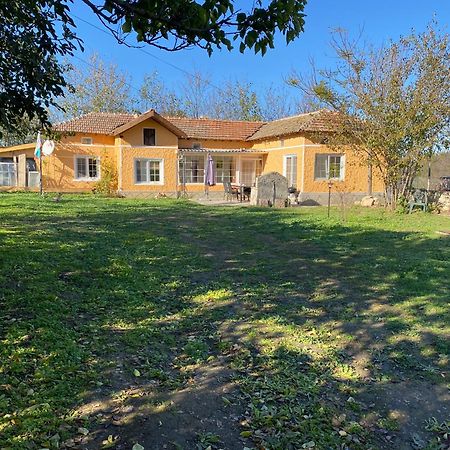 Ferienhaus Primorska Sunshine In Strandnaehe 沙布拉 外观 照片